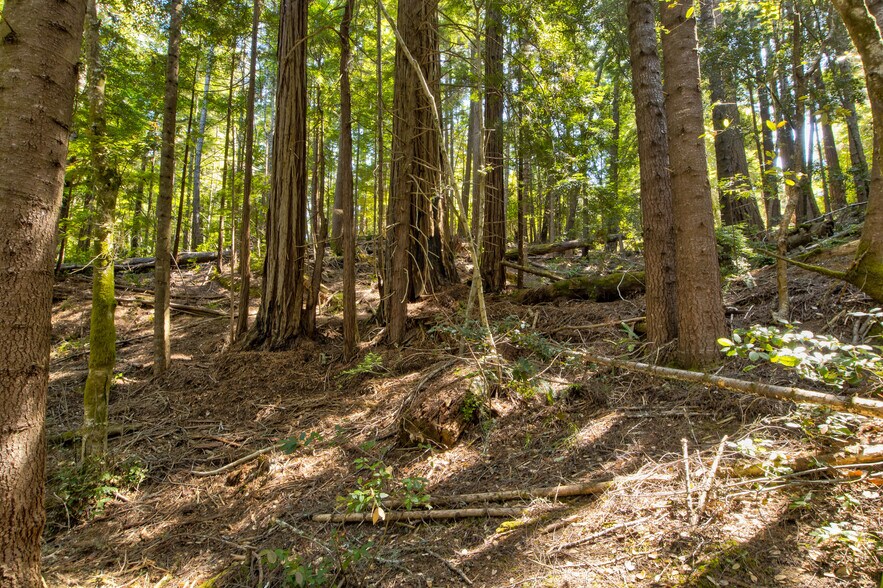 More Photos Of 33170 Frog Pond rd, Little River Land For Sale