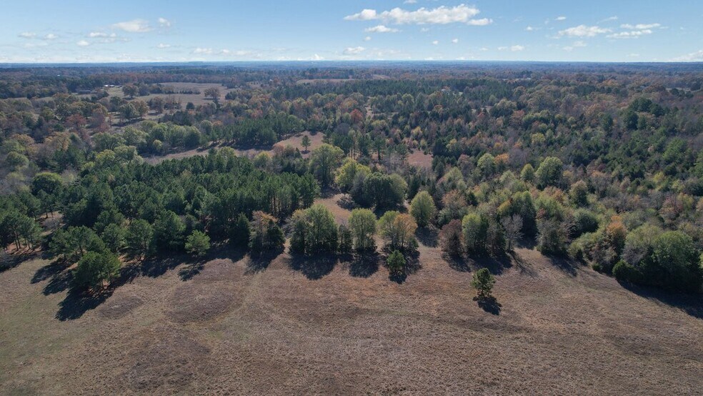 More Photos Of 190202 N 4130 Rd, Antlers Land For Sale