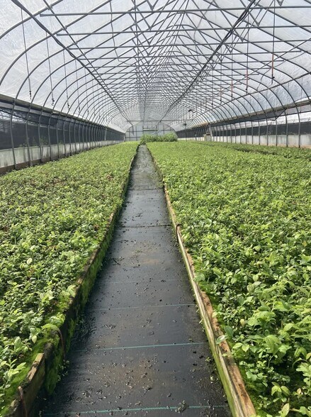 More Photos Of 9555 Gast Rd, Bridgman Shelter For Sale