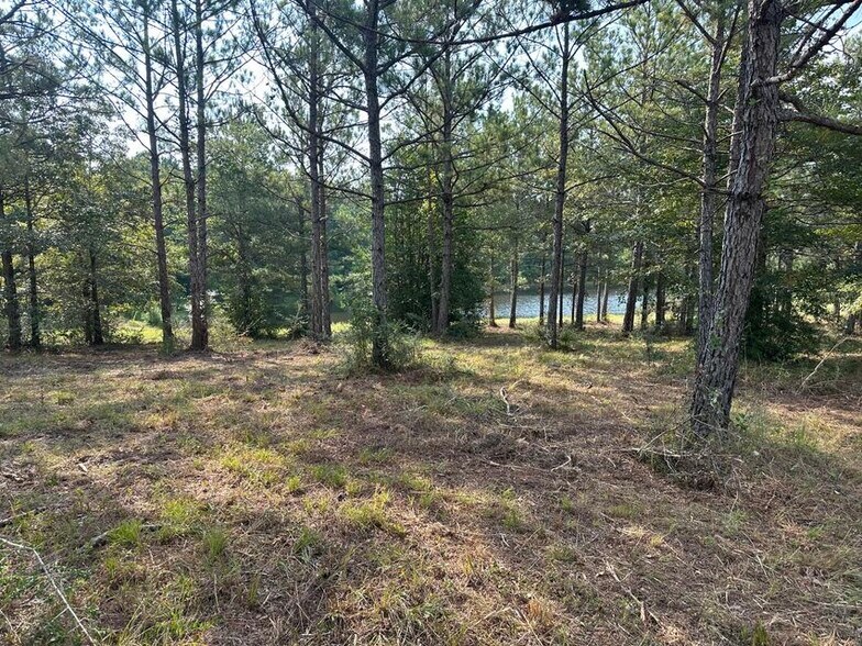 More Photos Of TBD North Star Estates Leesville LA 71446, Leesville Land For Sale