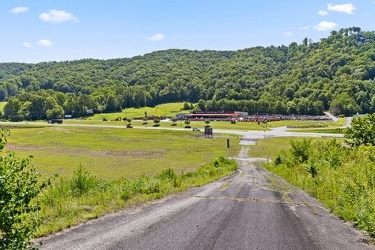 More Photos Of 0 Appalachian Hwy 515, Blue Ridge Land For Sale