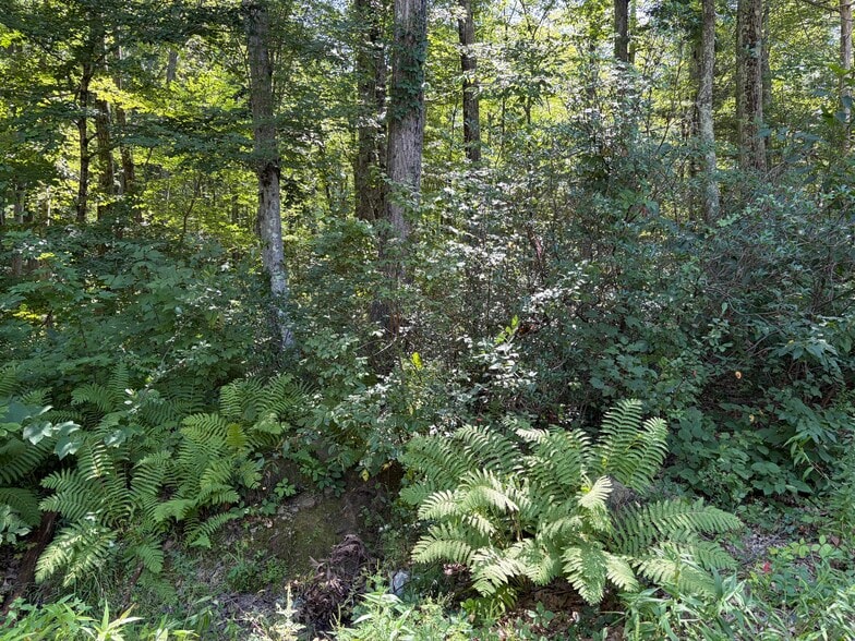 More Photos Of 167 W Main St, Dudley Land For Sale