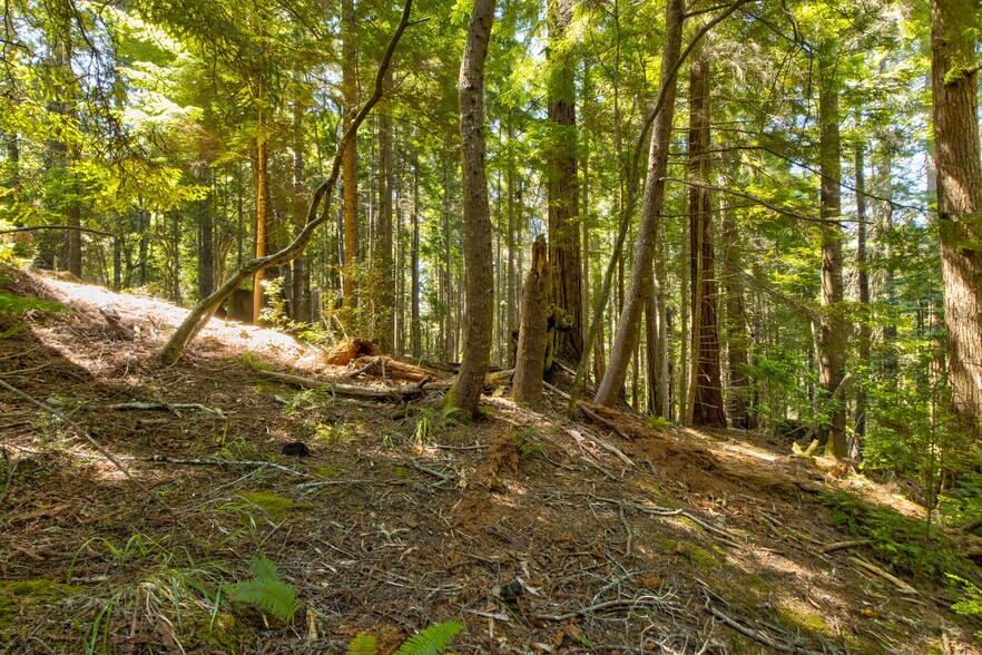 More Photos Of 33170 Frog Pond rd, Little River Land For Sale