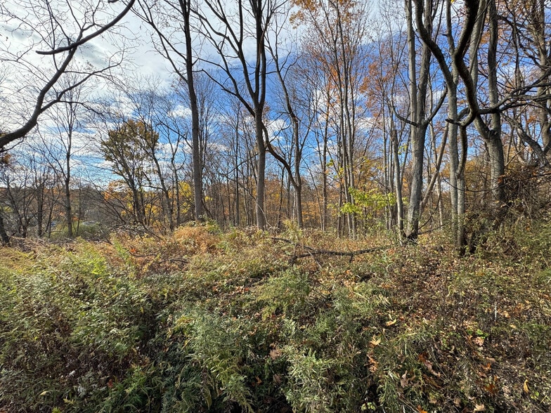 More Photos Of Silver Stream Rd Rd, New Windsor Township Land For Sale