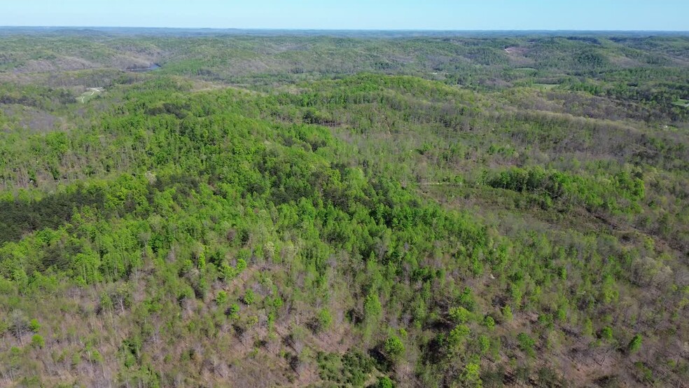 Primary Photo Of Knipp Branch, Grayson Land For Sale