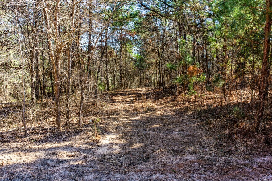 More Photos Of 1609 County Road 246 S rd, Tyler Land For Sale