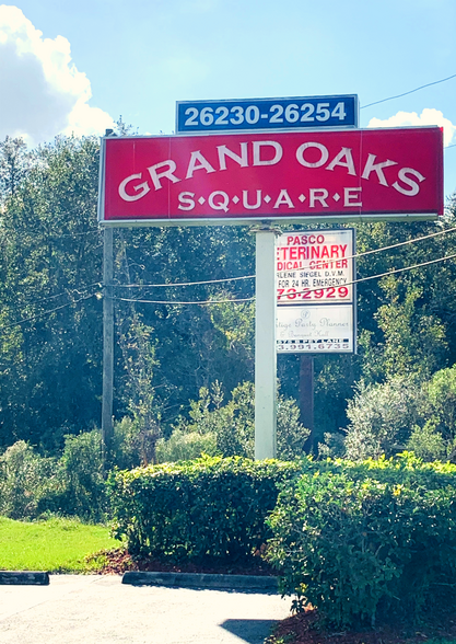 More Photos Of 26230 Wesley Chapel Blvd, Lutz General Retail For Lease