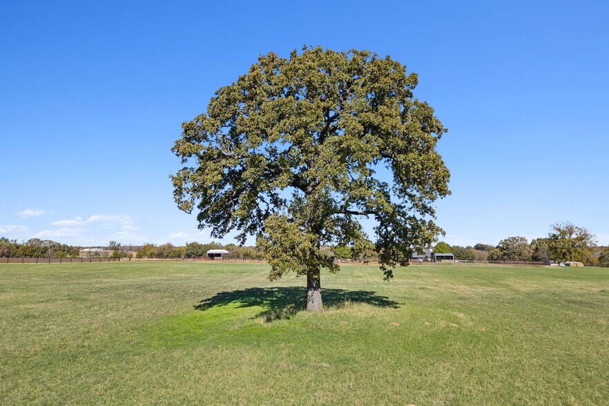 More Photos Of 2212 Spring Hill Rd, Aubrey Land For Sale