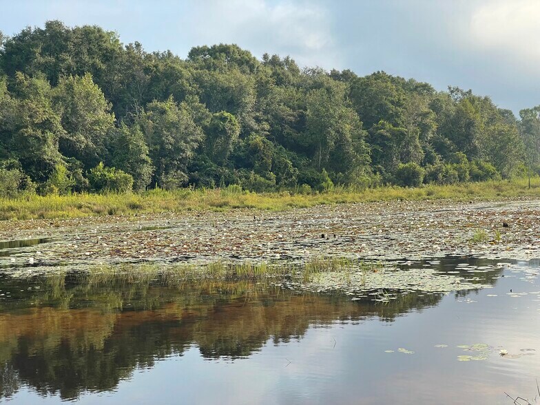 More Photos Of 00 Bull Branch, Coffee Springs Land For Sale