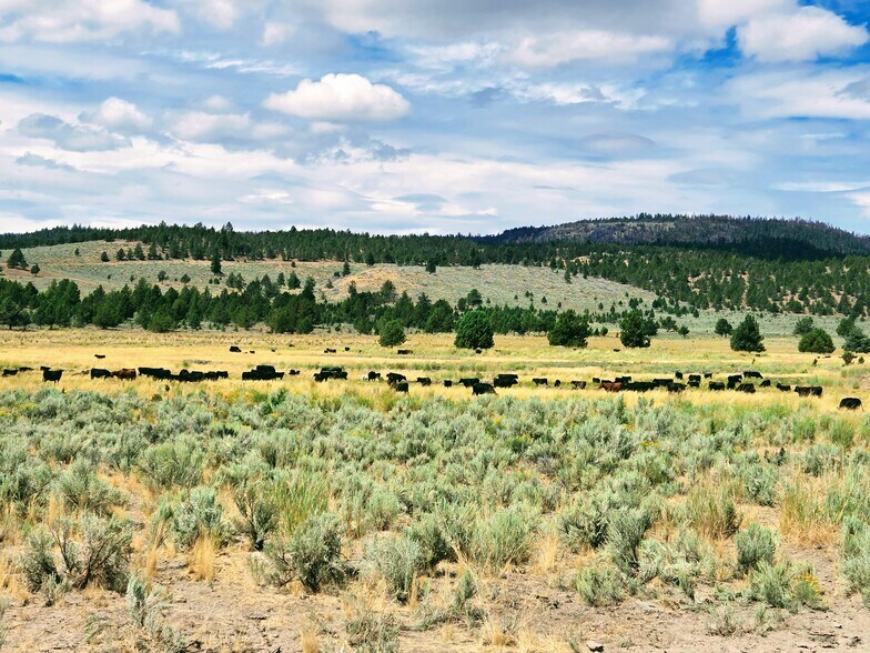 More Photos Of 32611 Tackman Rd, Prineville Land For Sale