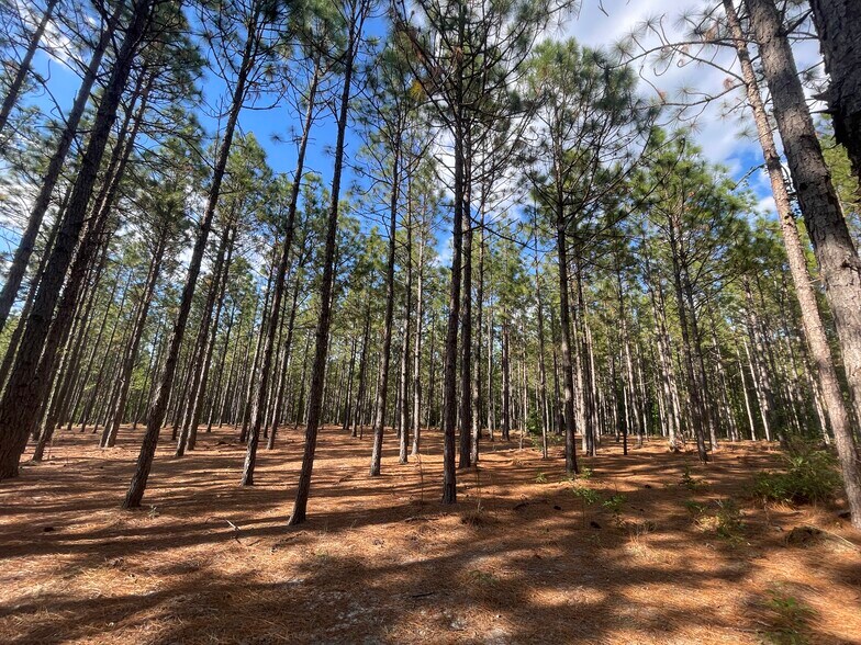 More Photos Of 1400 US 1 hwy, Rockingham Land For Sale