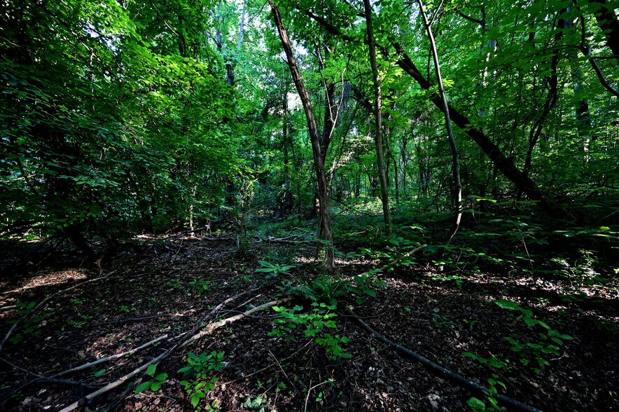 More Photos Of Richard Allen St, Aquasco Land For Sale