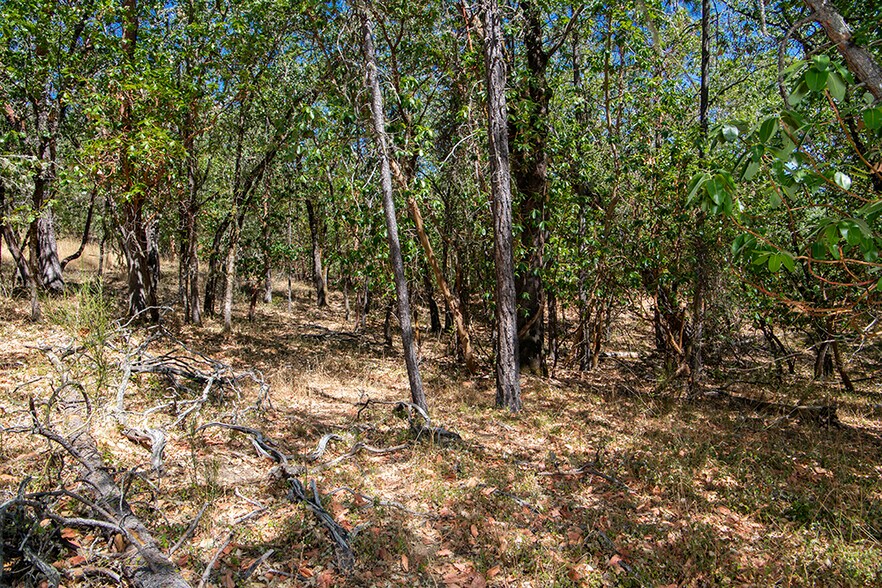 More Photos Of 0 Rosemary Lane Ln, Grants Pass Land For Sale