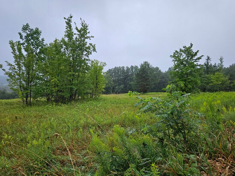 More Photos Of 3922 Kortwright Rd, Jamestown Warehouse For Sale