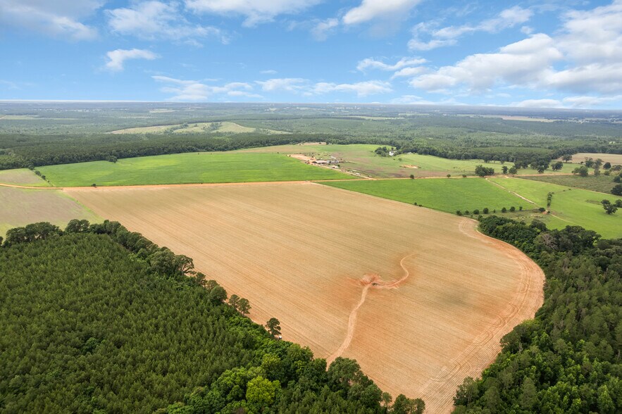 More Photos Of 0 Old Stage rd, Repton Land For Sale