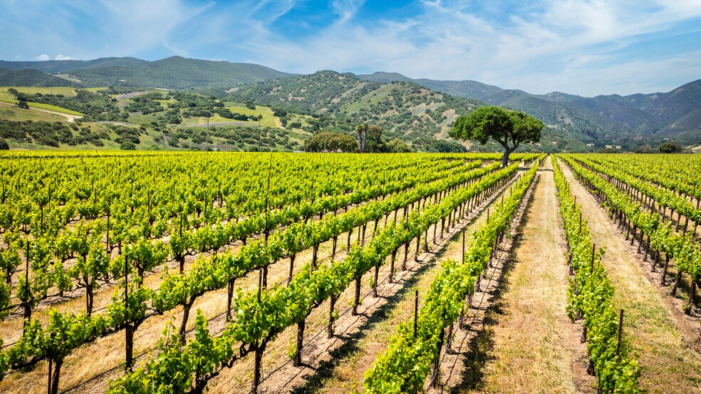 More Photos Of 35422 Paraiso Springs Rd, Soledad Land For Sale