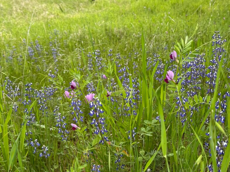 More Photos Of Cabezut Rd, Sonora Land For Sale