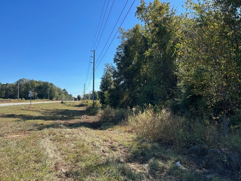 More Photos Of 0 Highway 165, Fort Mitchell Land For Sale