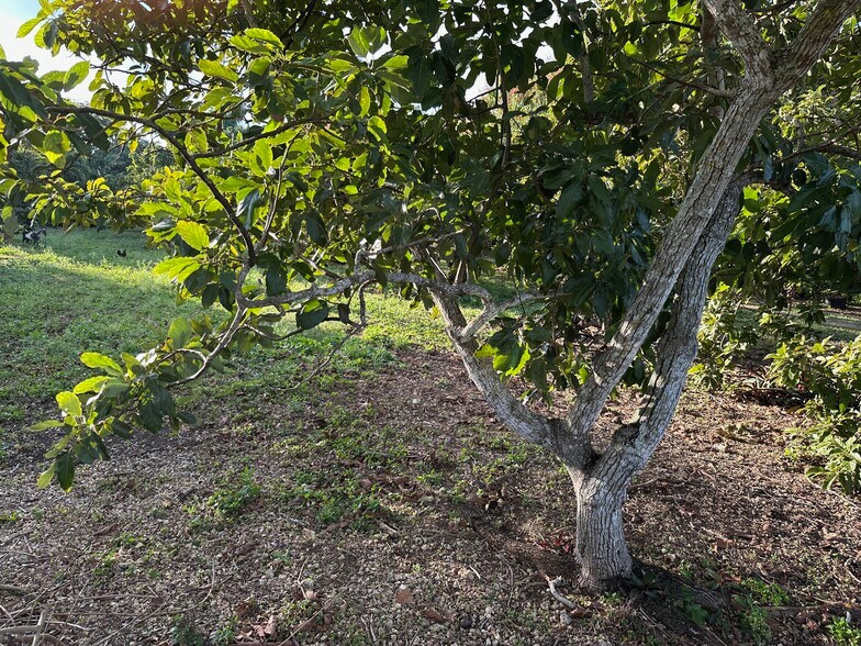 More Photos Of 26840 SW 167th Ave, Homestead Land For Sale