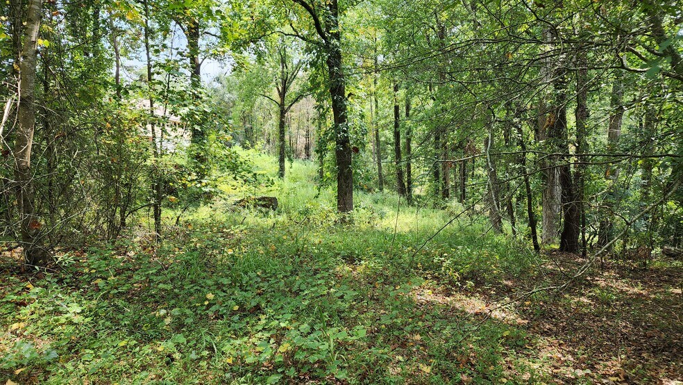 More Photos Of 1661 Friendship Rd, Hoschton Land For Sale