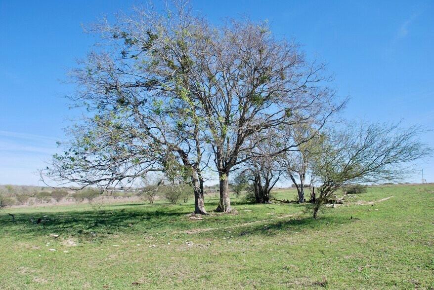 More Photos Of TBD State Highway 95, Moulton Land For Sale