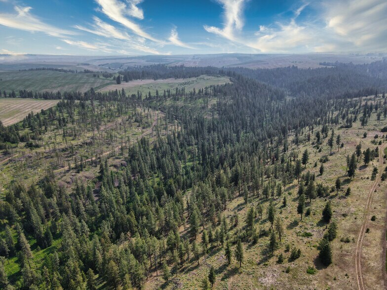 More Photos Of 45XXX Devore Rd, Davenport Land For Sale