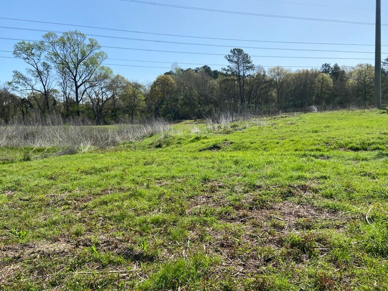 More Photos Of 24030 Hegar Rd, Hockley Land For Sale