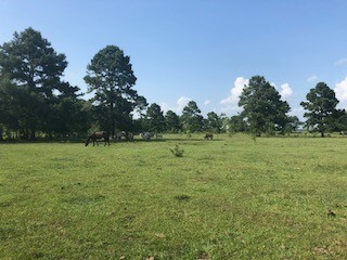 More Photos Of 7886 Fm 1960 Rd, Dayton Land For Sale