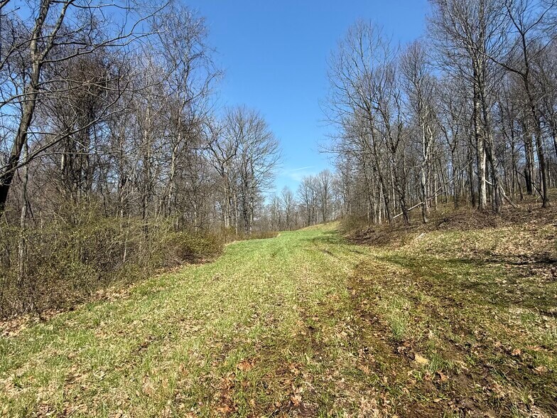 More Photos Of 0 Kragel Rd, Wintersville Land For Sale
