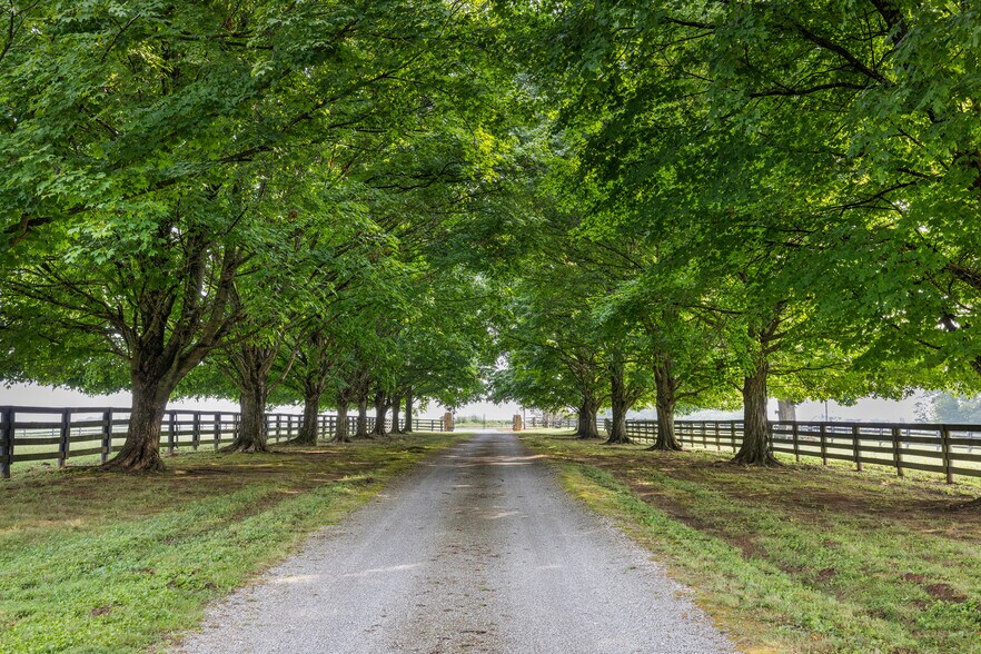 More Photos Of 575 Moody Pike, Shelbyville Land For Sale