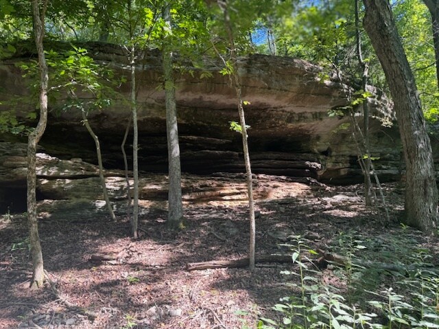 More Photos Of 190 Edgewater Dr, Eureka Springs Land For Sale