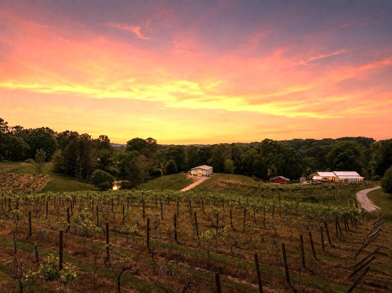 More Photos Of 2317 GA-382, Ellijay Winery Vineyard For Sale
