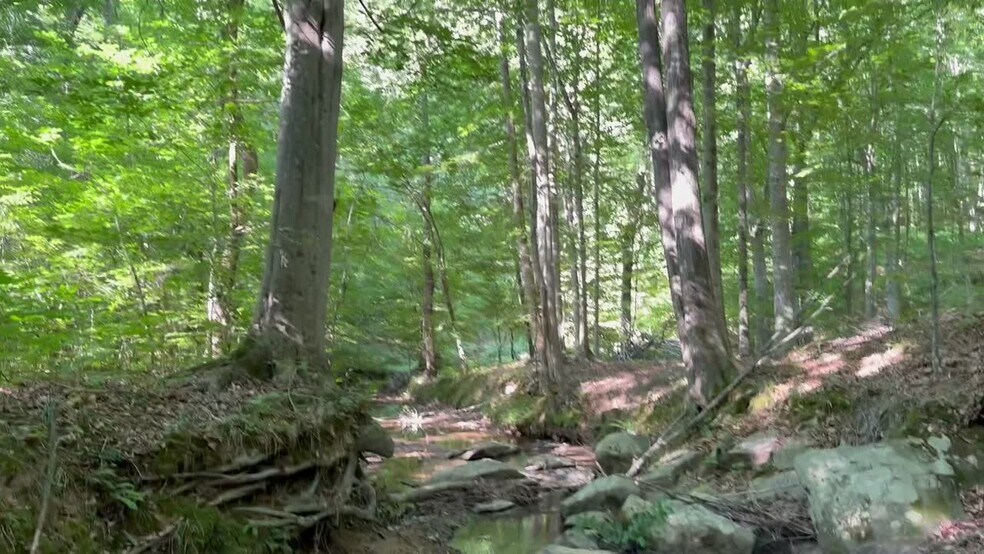 More Photos Of 400 Eden Church rd, Madison Land For Sale