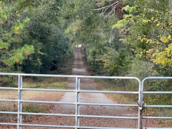 More Photos Of 10602 NW 143rd St, Alachua Land For Sale