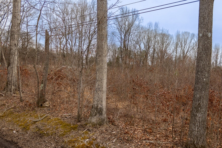 More Photos Of 0 Bill Medlin Rd, Lexington Land For Sale