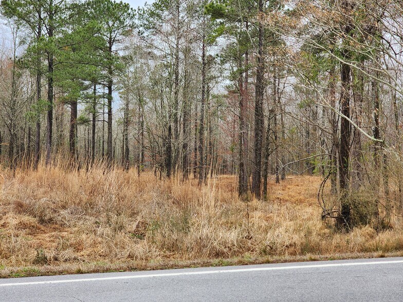 More Photos Of 8055 US-17, Vanceboro Land For Sale