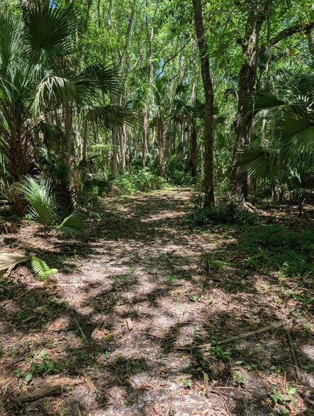 More Photos Of 0 NW 202nd Pl, McIntosh Land For Sale