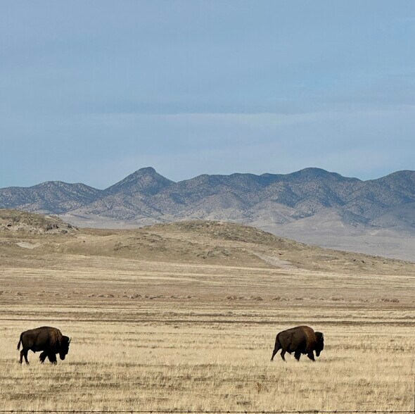 More Photos Of No Assigned Address, Dugway Land For Sale