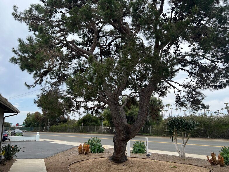 More Photos Of 2808-2810 Pio Pico Dr, Carlsbad Office For Lease