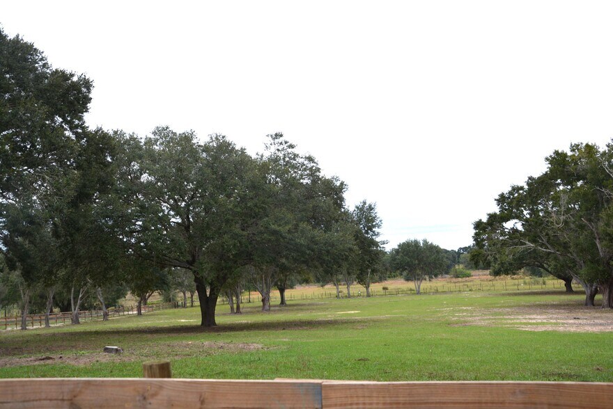 More Photos Of 3816 Lake Brite St, Groveland Land For Sale