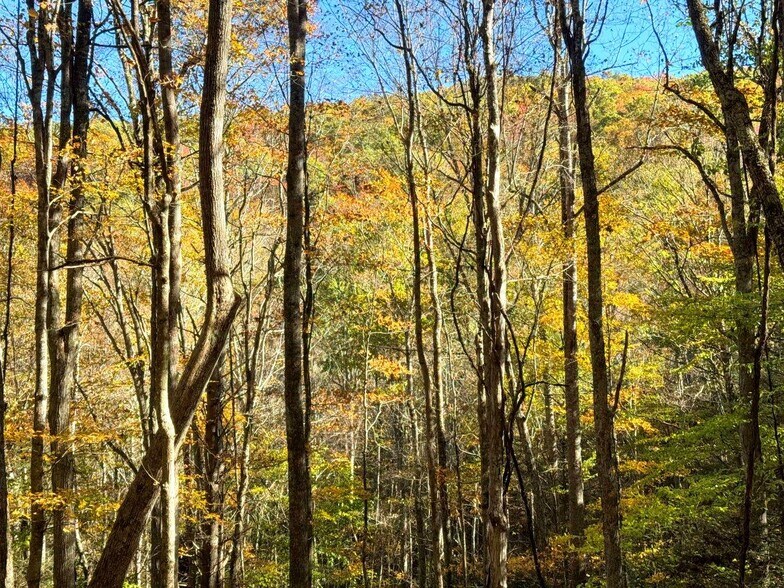 More Photos Of 0 Old Pluto Rd, Shady Spring Land For Sale