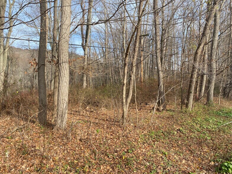 More Photos Of 3918 Danbury, Brewster Village Land For Sale
