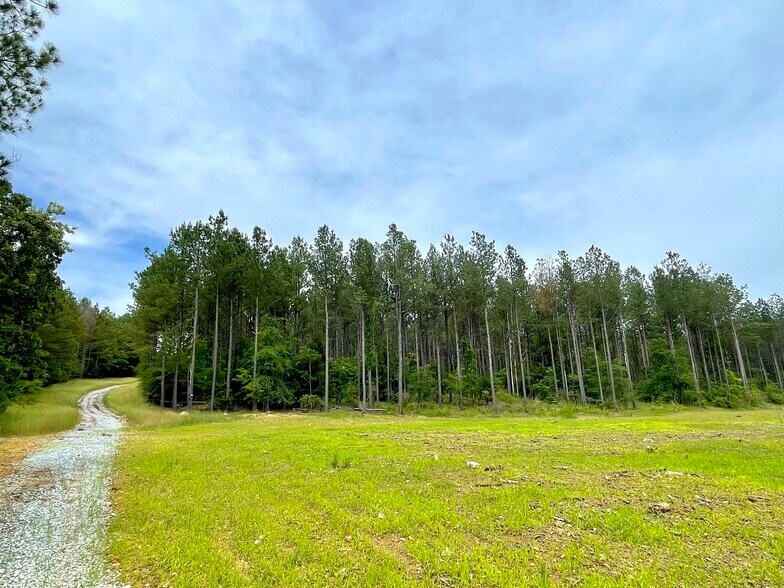 More Photos Of 92 Lillian Strong rd, Carlton Land For Sale