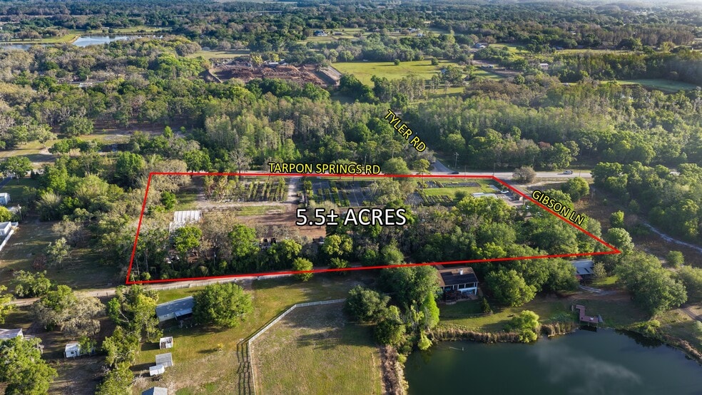 More Photos Of 12980 Tarpon Springs Rd, Odessa Land For Sale