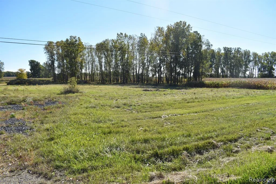 Primary Photo Of 5200 M 52, Williamston Land For Sale