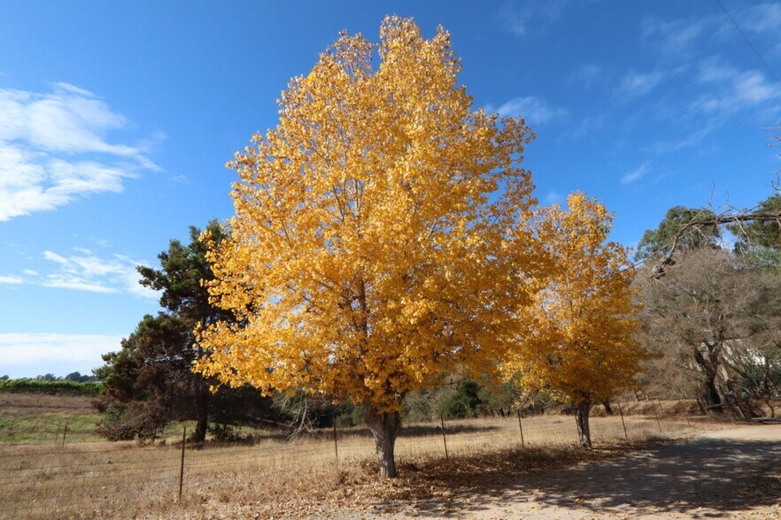 More Photos Of 211 Smith Rd, Watsonville Land For Sale