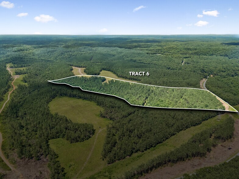 More Photos Of 1420 Big Swan Creek Rd, Summertown Land For Sale