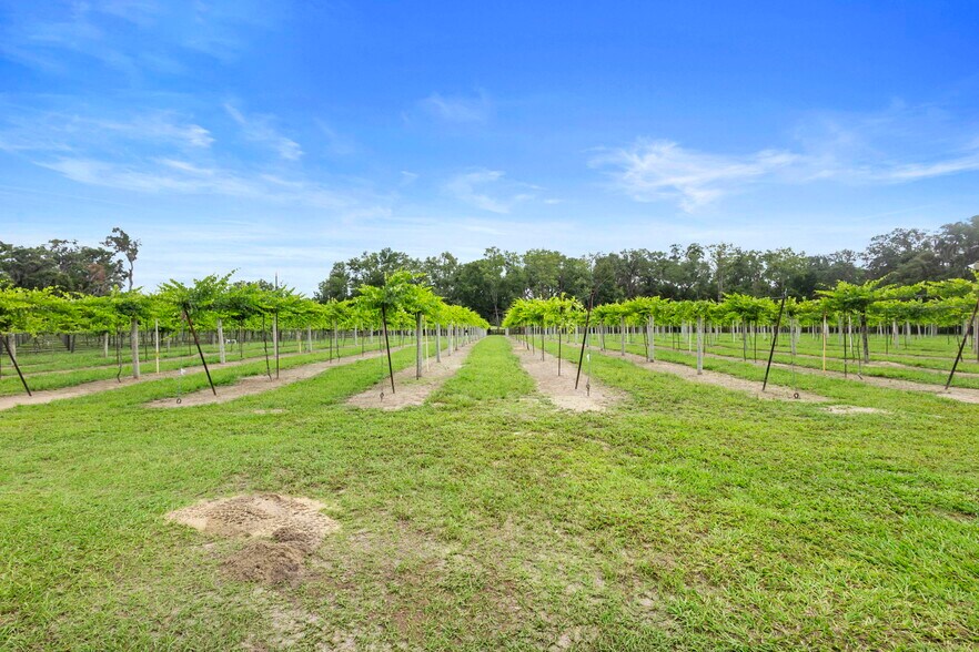 More Photos Of 1056 Reynolds Rd, De Leon Springs Specialty For Sale