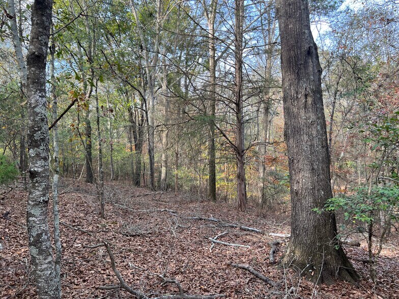 More Photos Of 0 Dickson Dr, Danielsville Land For Sale