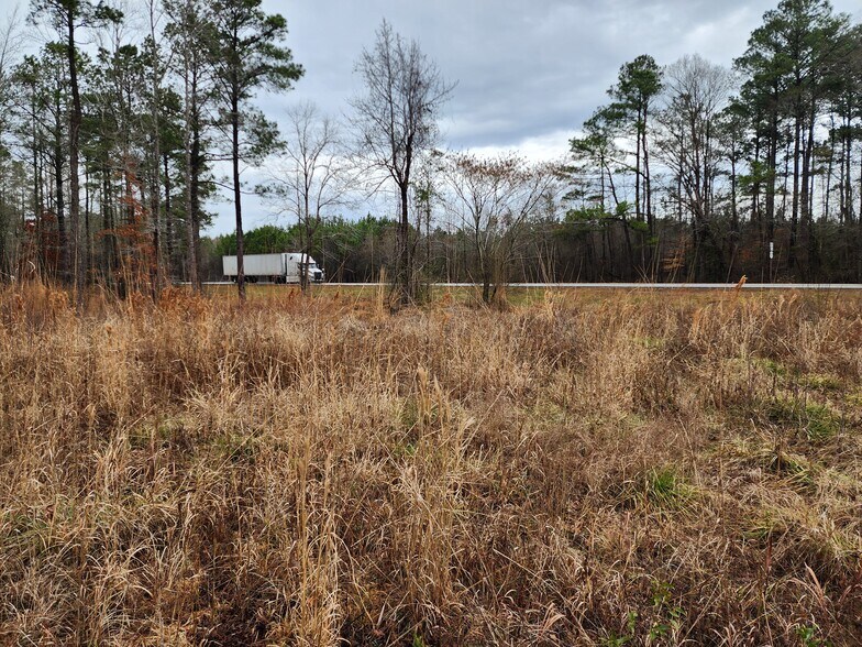 Primary Photo Of 8055 US-17, Vanceboro Land For Sale